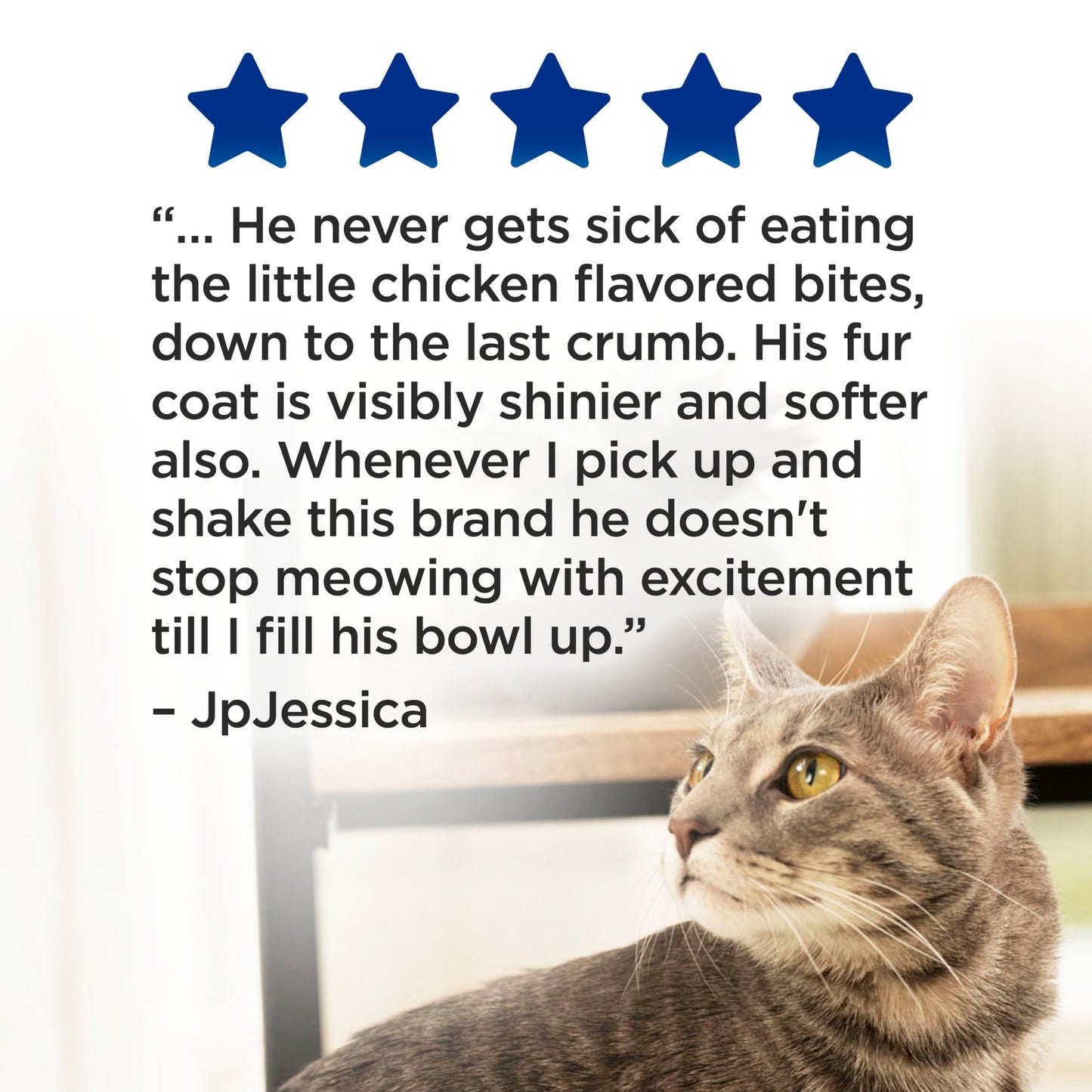 2 Packs Purina Complete, Dry Cat Food, Chicken, 20 Lb Bag